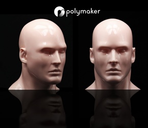 Polyshed Human Head